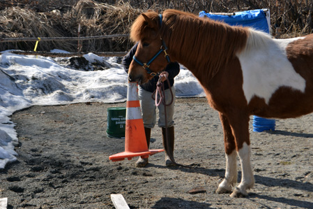 Hrimmi with a cone in her mouth